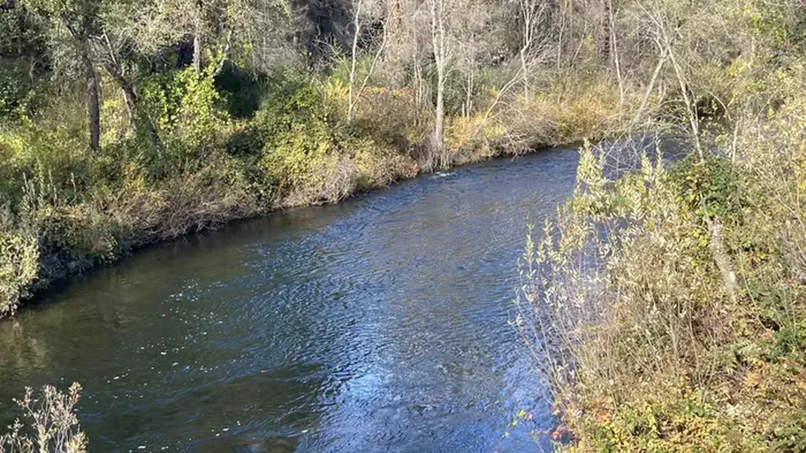 Peltier Bridge Campground