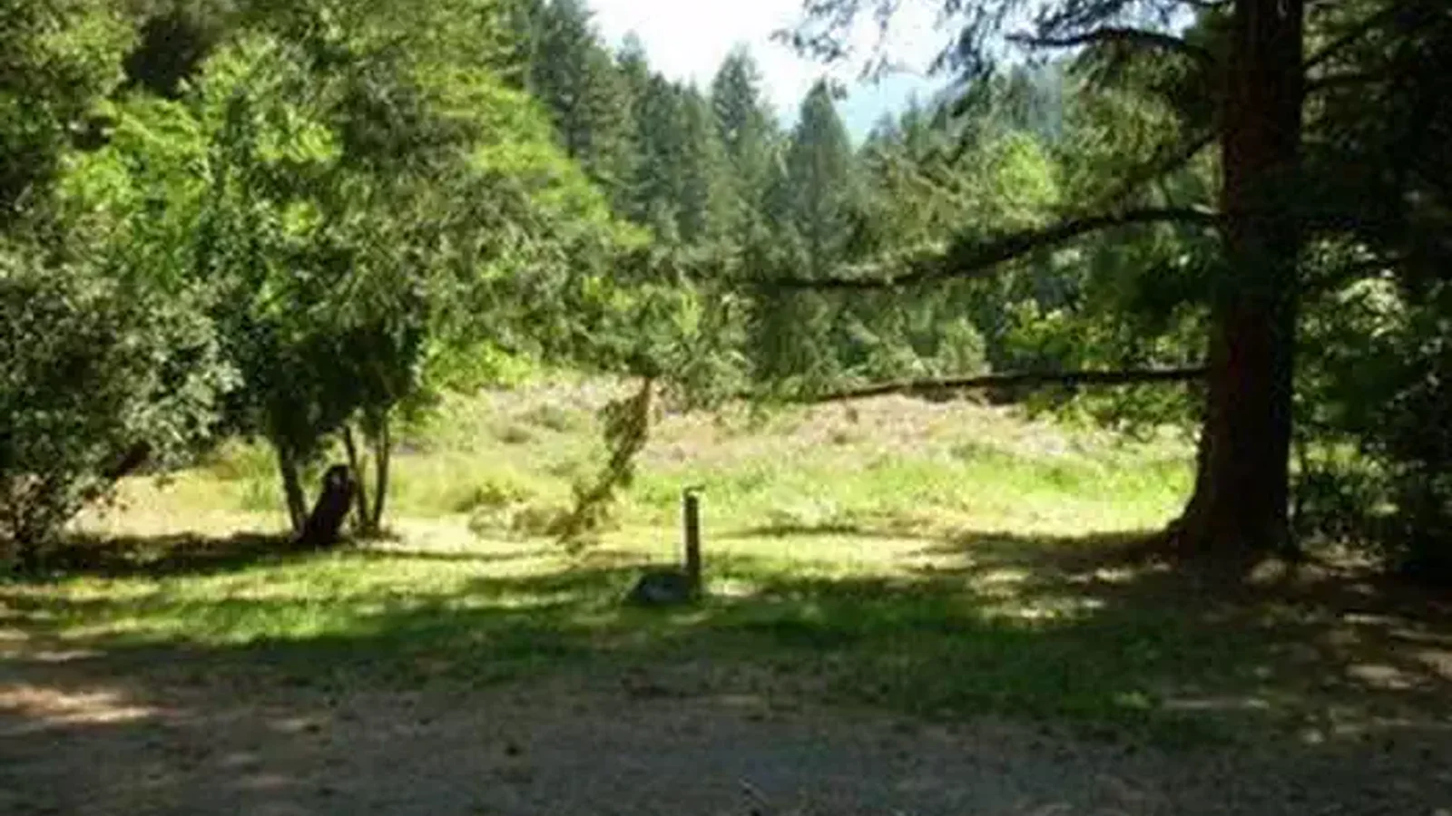 CHINQUAPIN GROUP CAMPGROUND