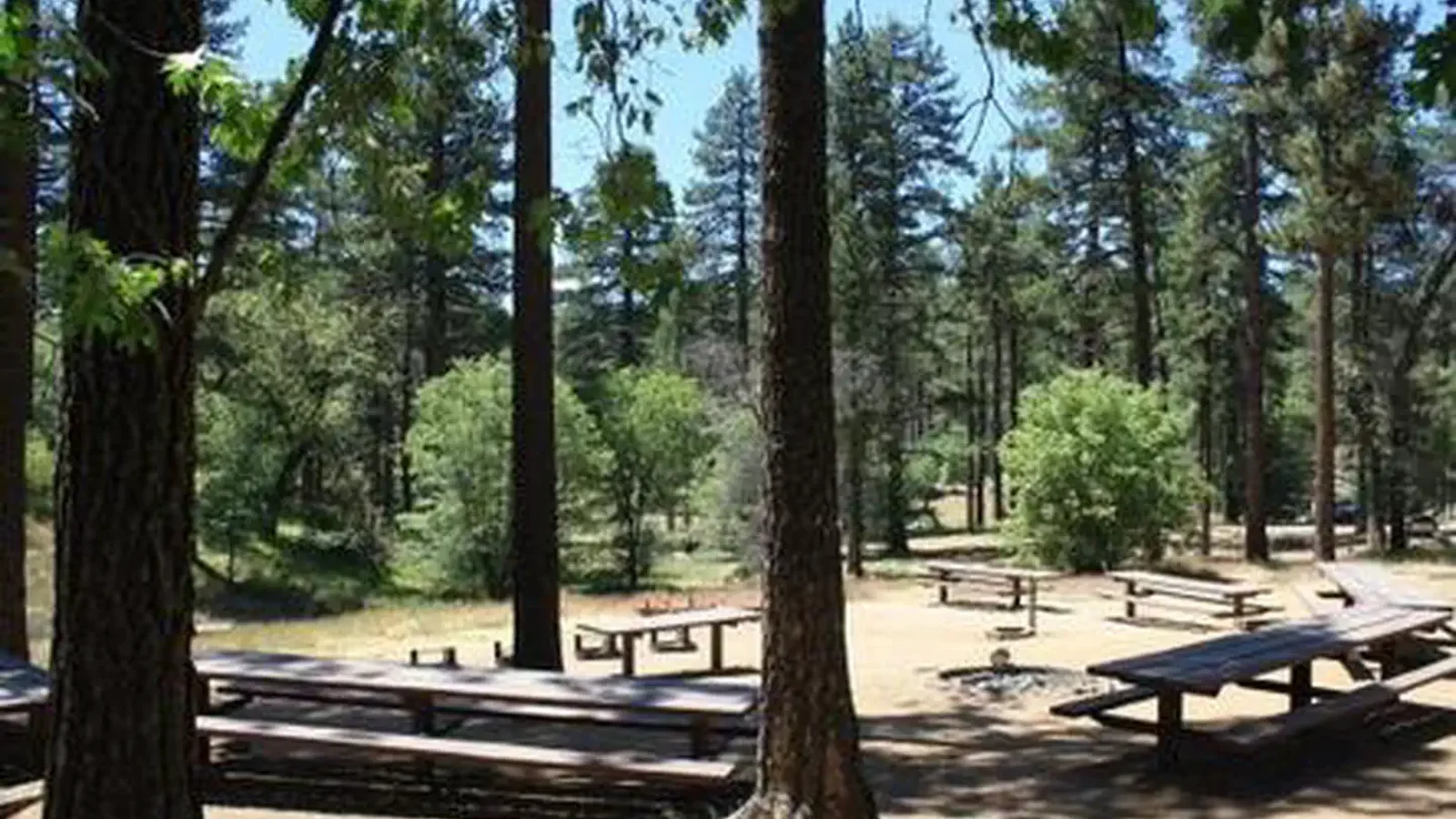 View from Buttercup Group Camp