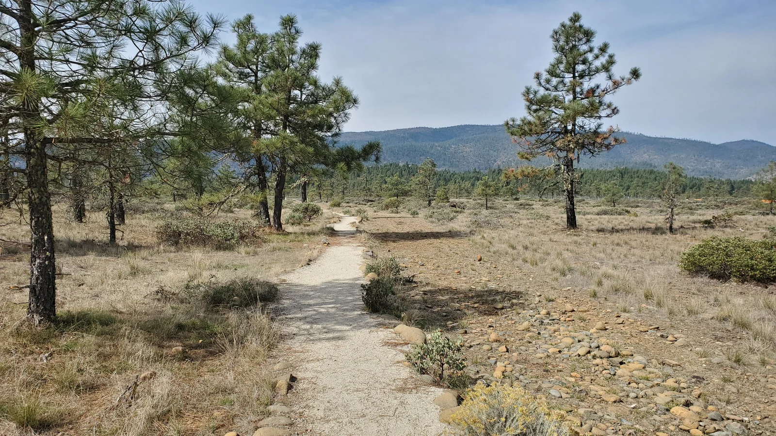 View along the Rough and Ready Flat trail.
