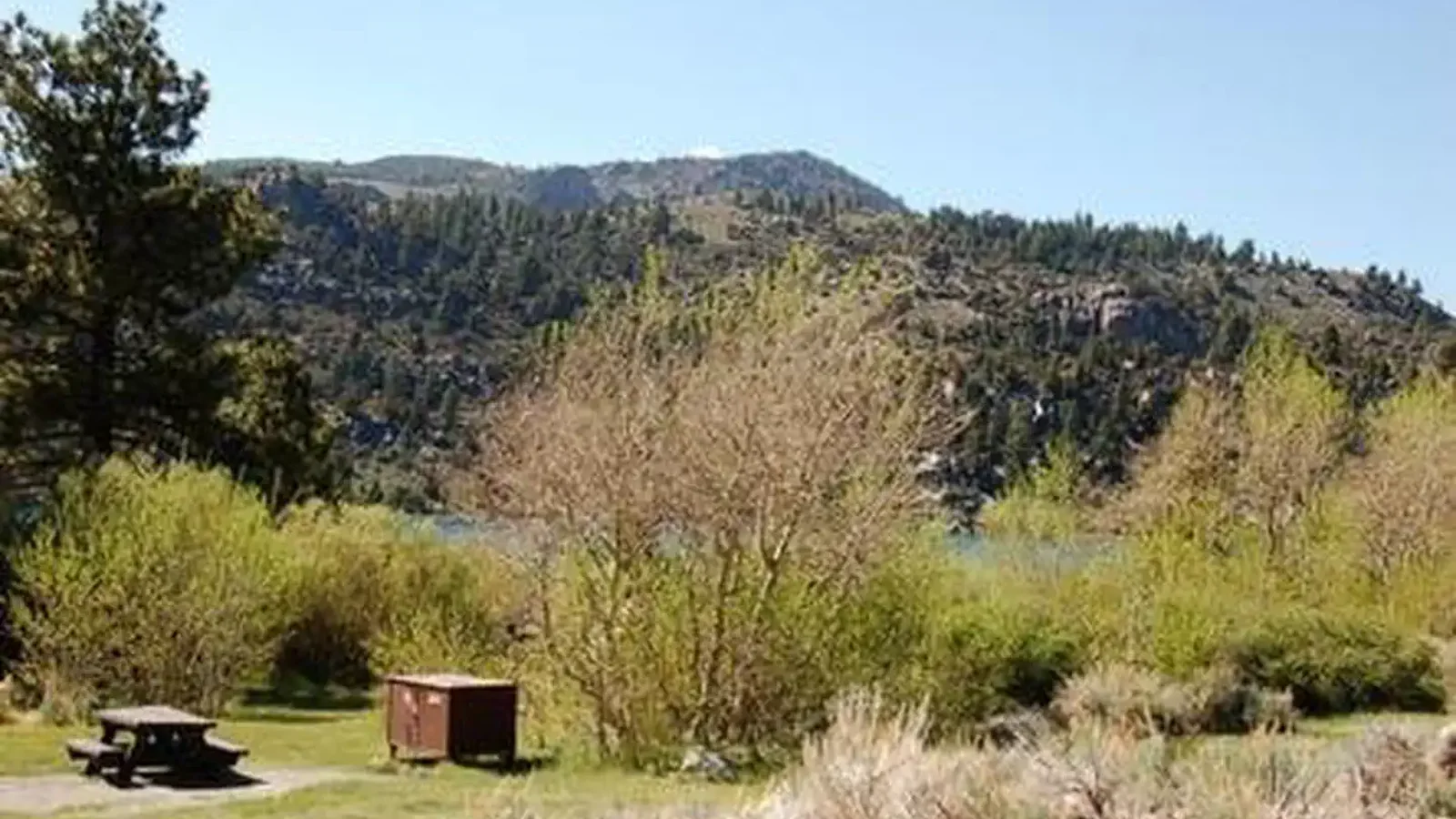 JUNE LAKE