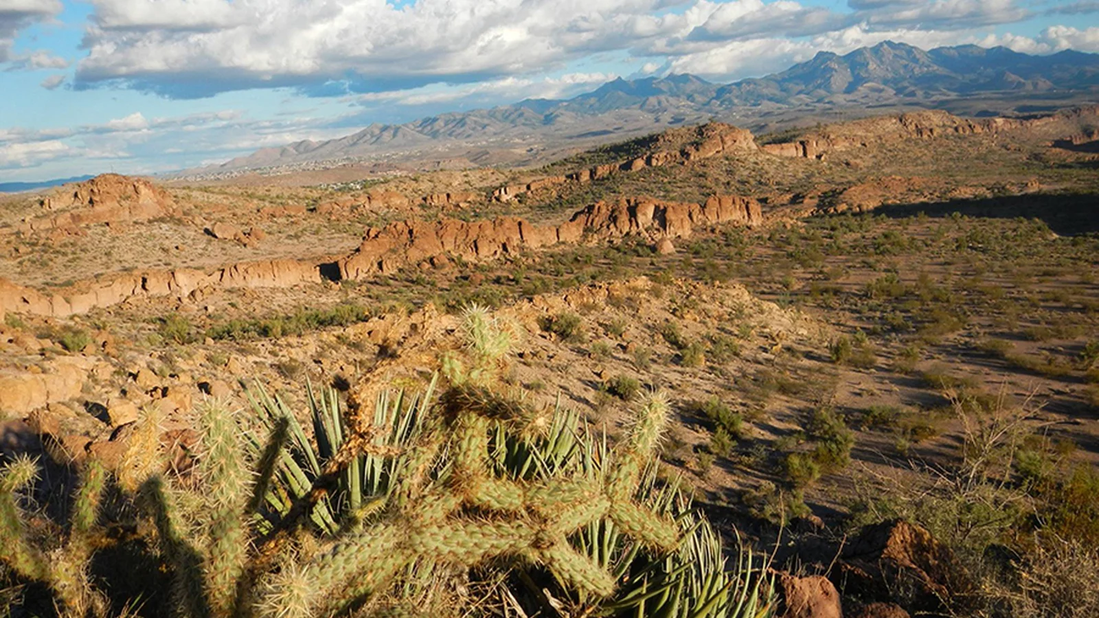 View of the Hualapai Mountains from the Cerbat Foothills