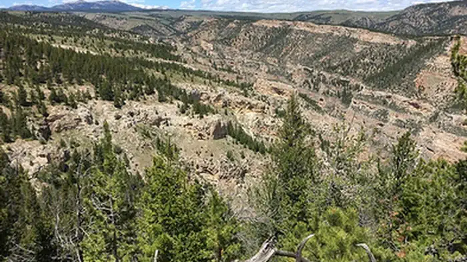 Site photo