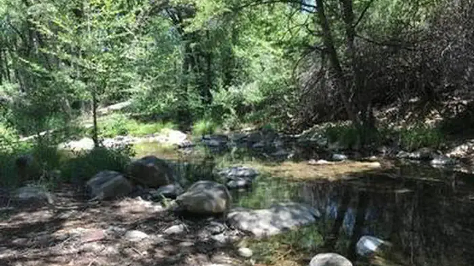 MIDDLE LION CAMPGROUND