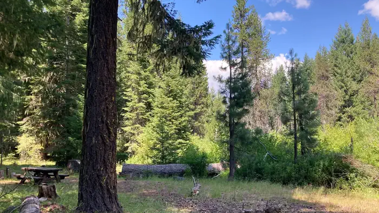 Group Camp Site
