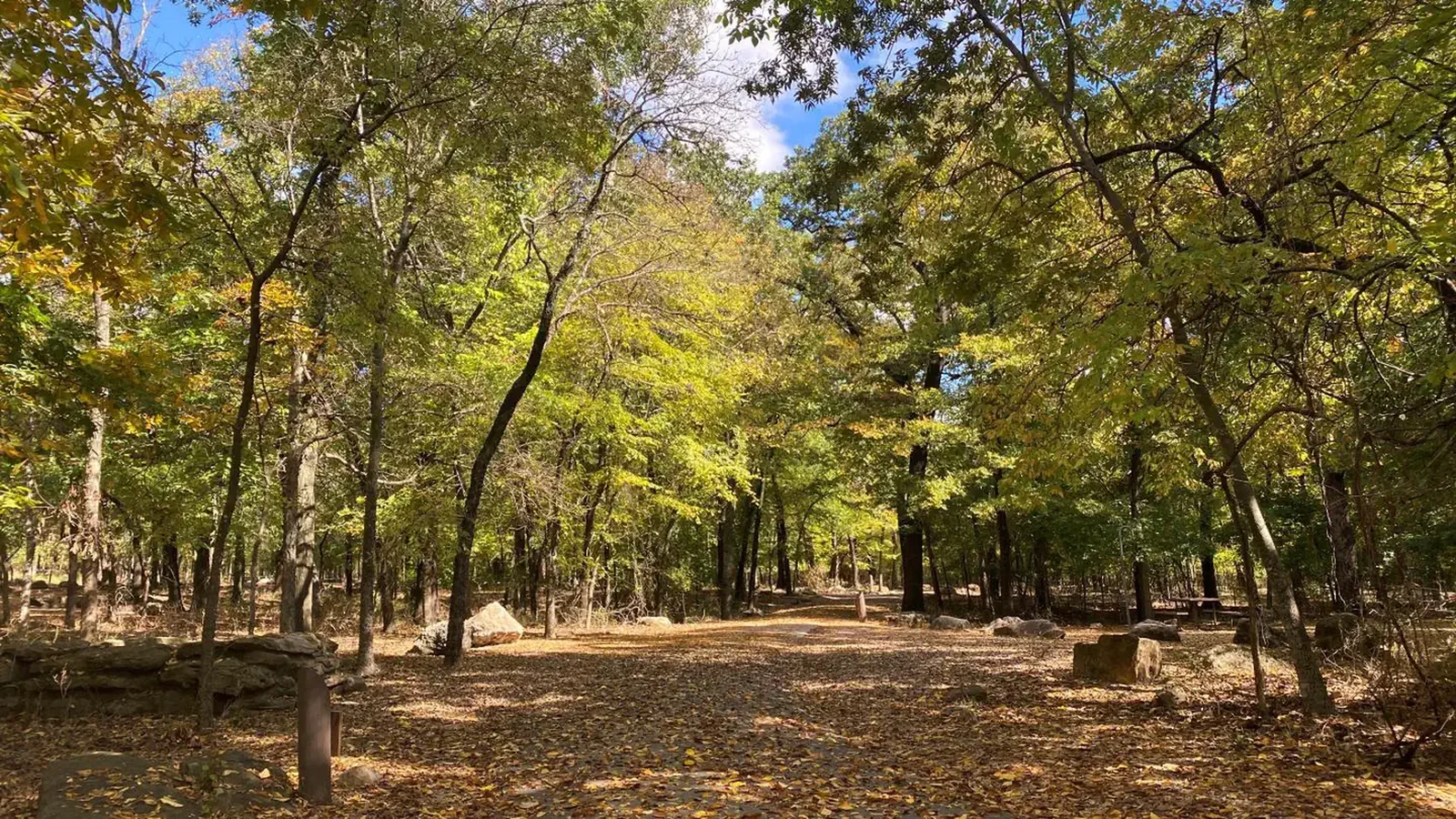 The entrance to Cold Springs Campground, covered in yellow and orange leaves and shaded by trees on each side.
