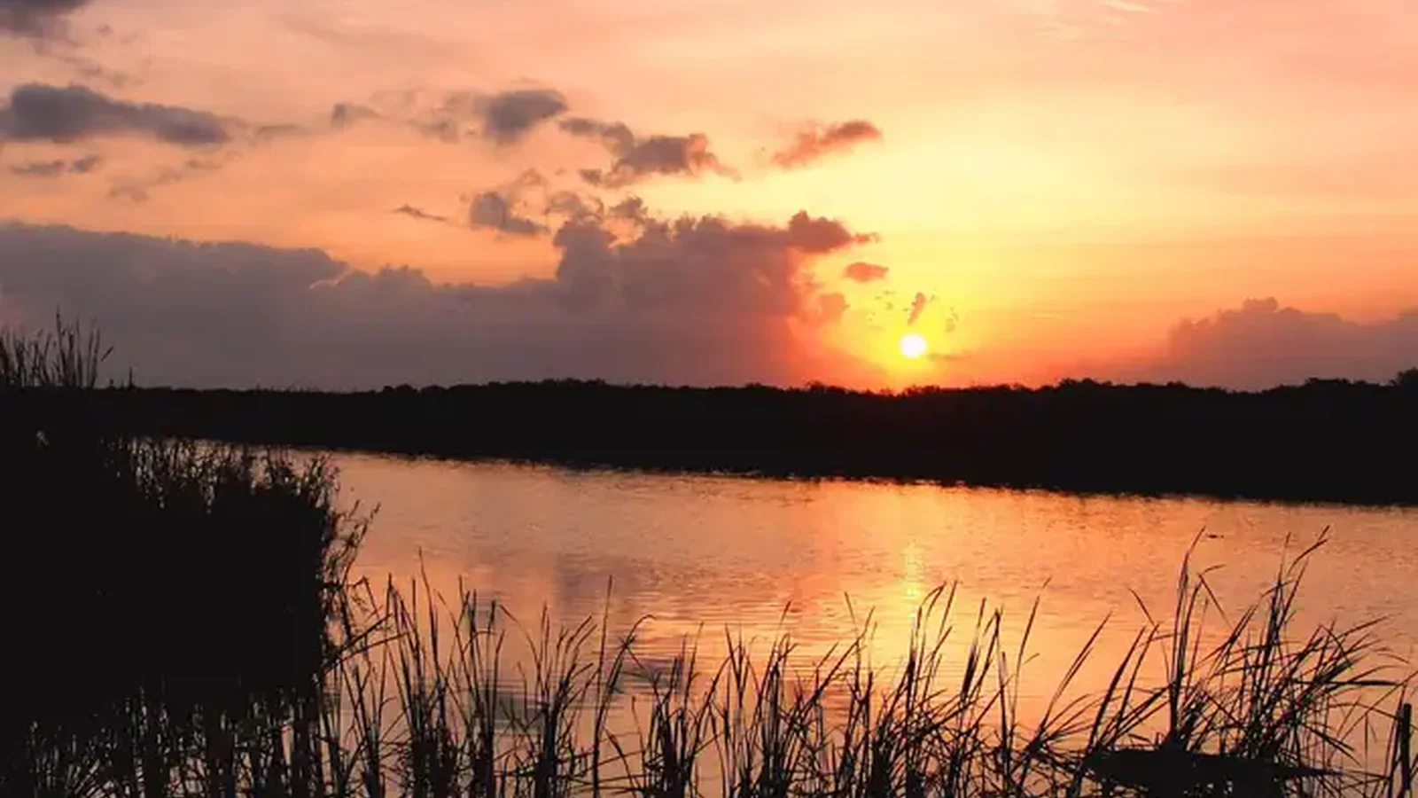 Arthur R. Marshall Loxahatchee National Wildlife Refuge, Florida