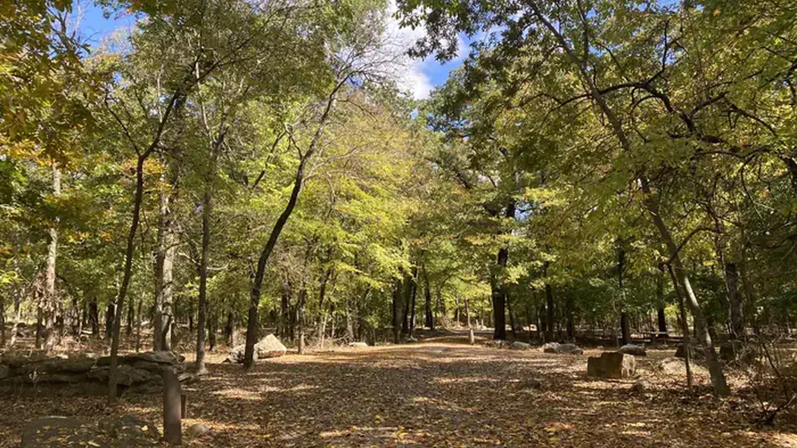 The entrance to Cold Springs Campground, covered in leaves and shaded by trees on each side.