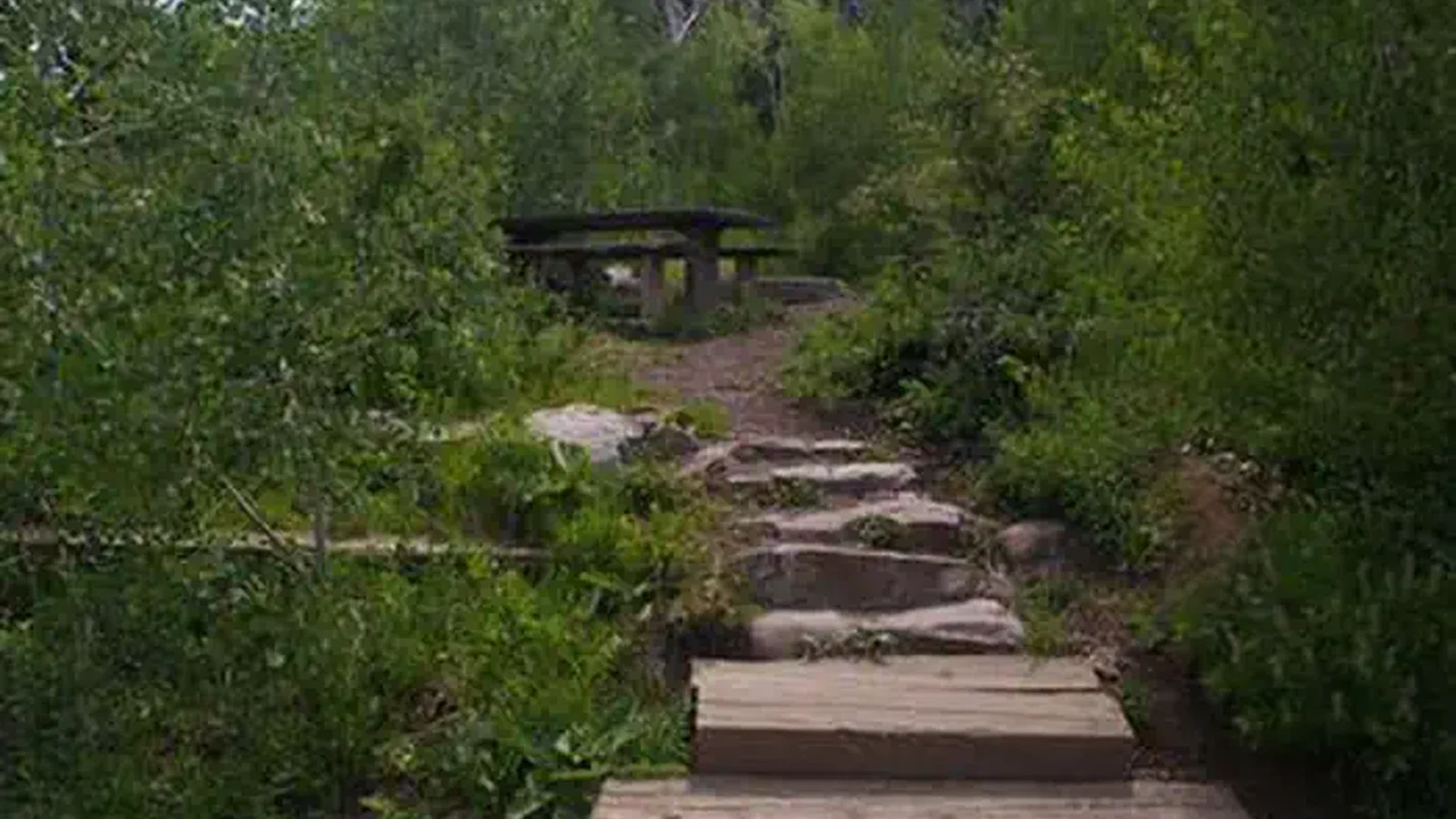 Lake Hill Campground Site