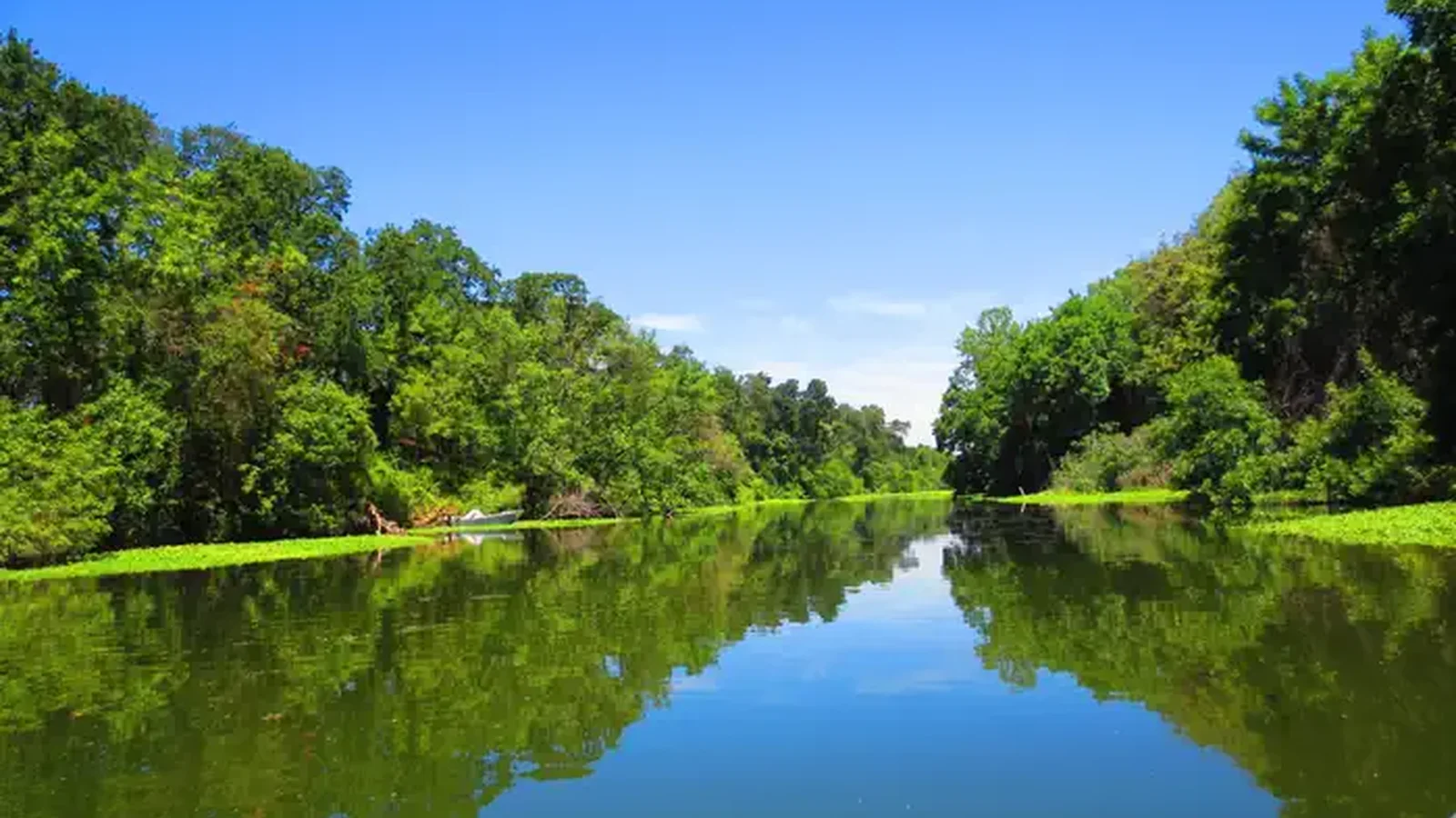 Sacramento River National Wildlife Refuge