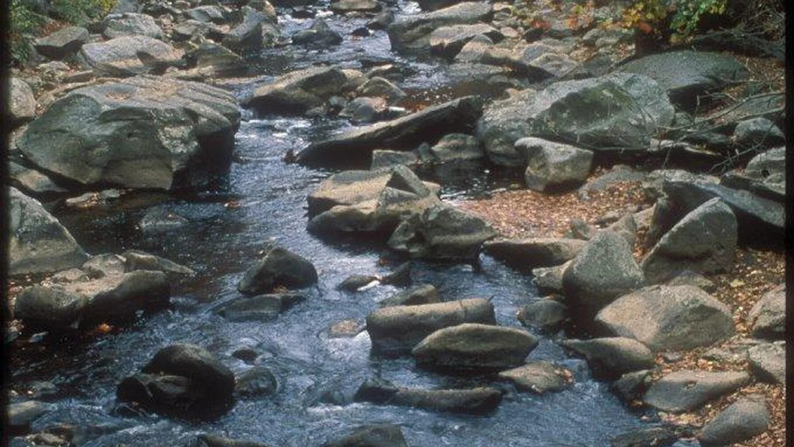 Rocks in Rock Creek