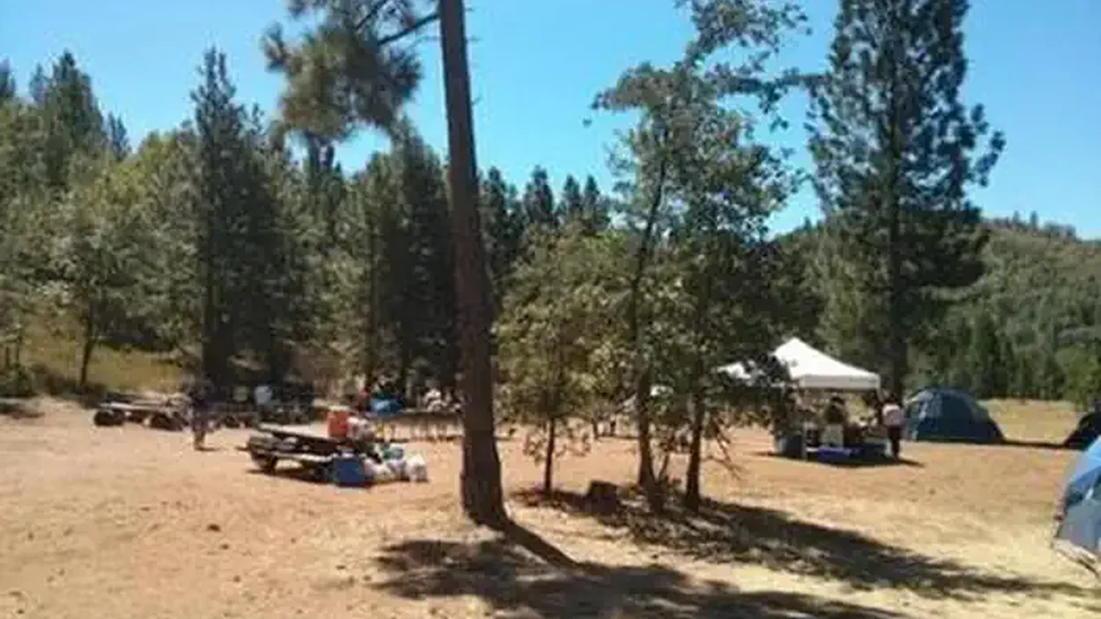 PINES GROUP STANISLAUS