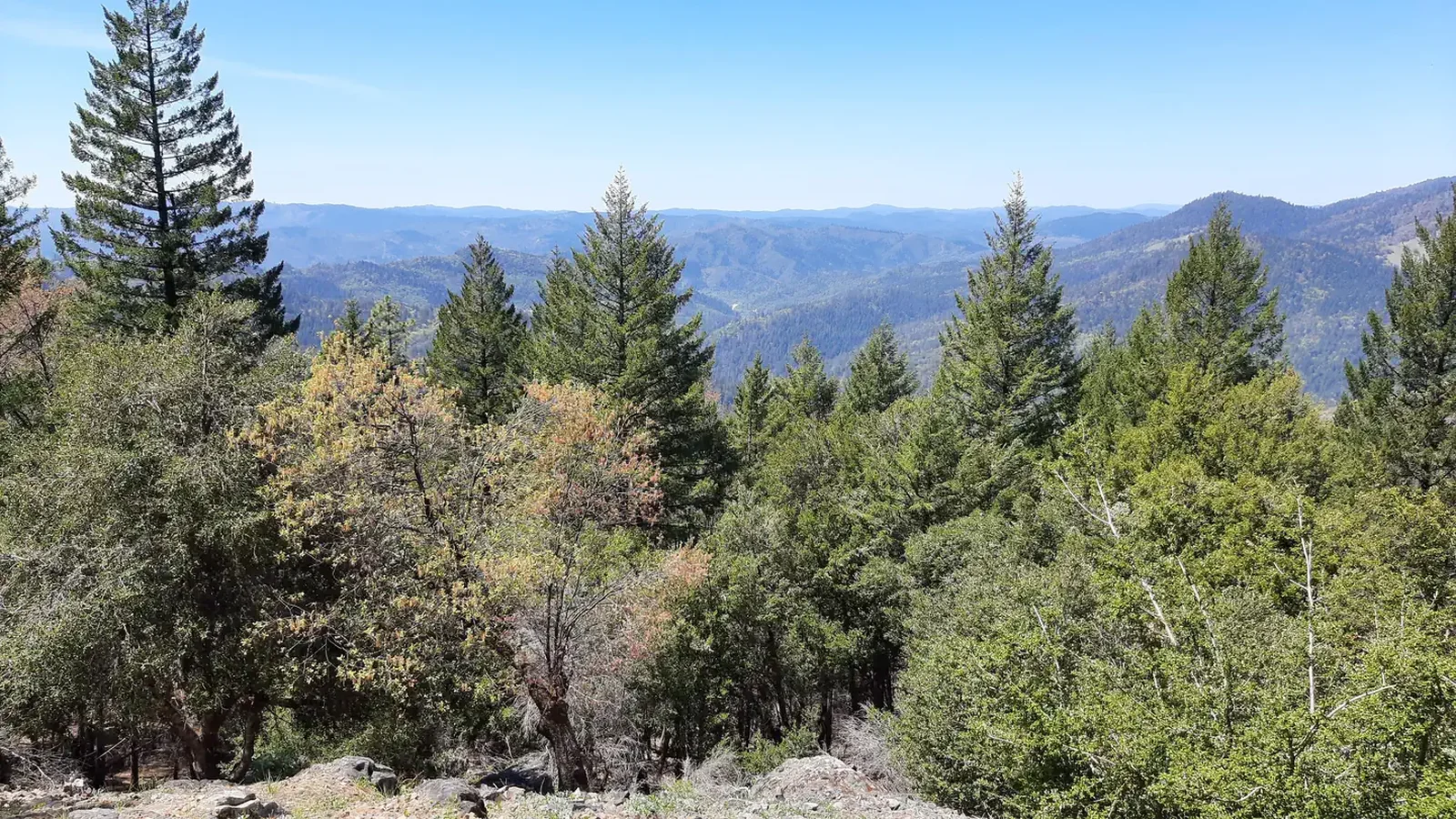 Vista from backside of lookout