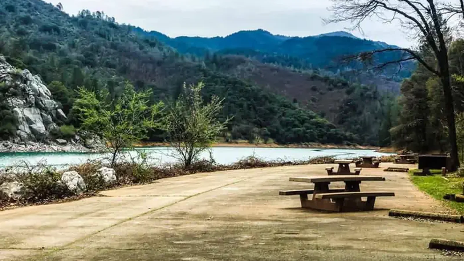 Ellery Creek Water Front