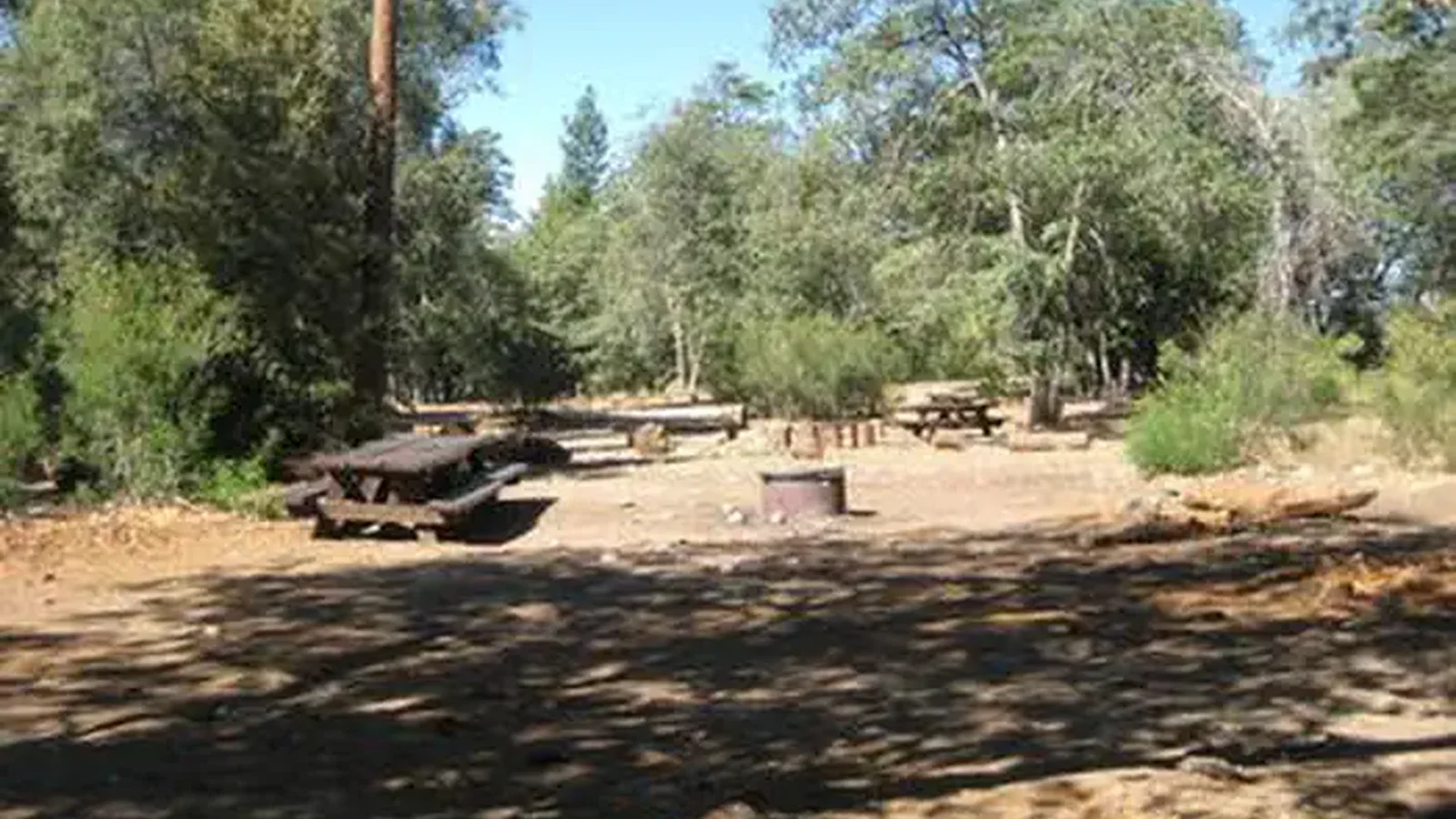 Shade, picnic tables & fire pits of the Oso Group Campground ..