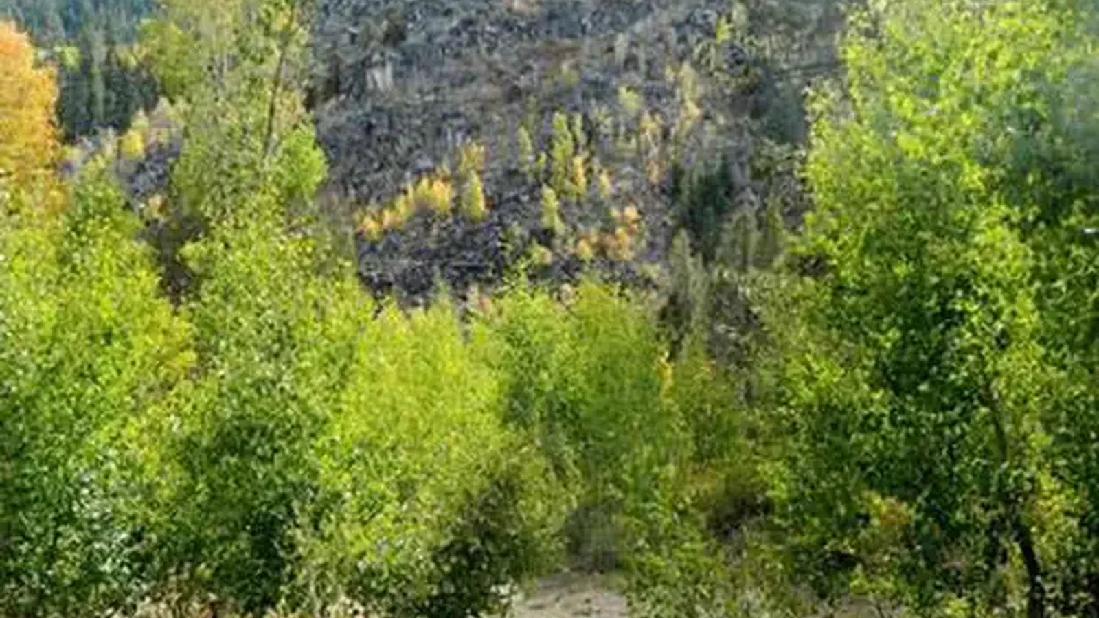KIT CARSON CAMPGROUND