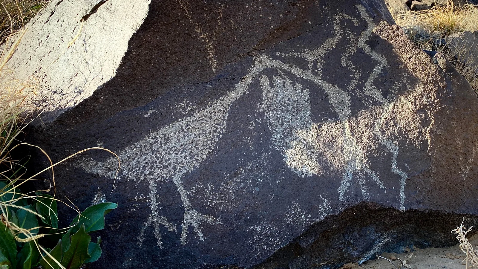 Bird and Footprint Petroglyphs