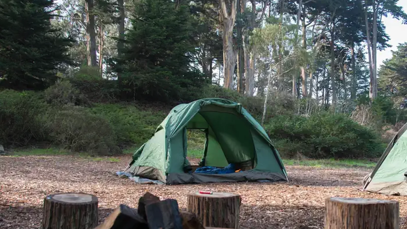 One green tent with trees in the background
