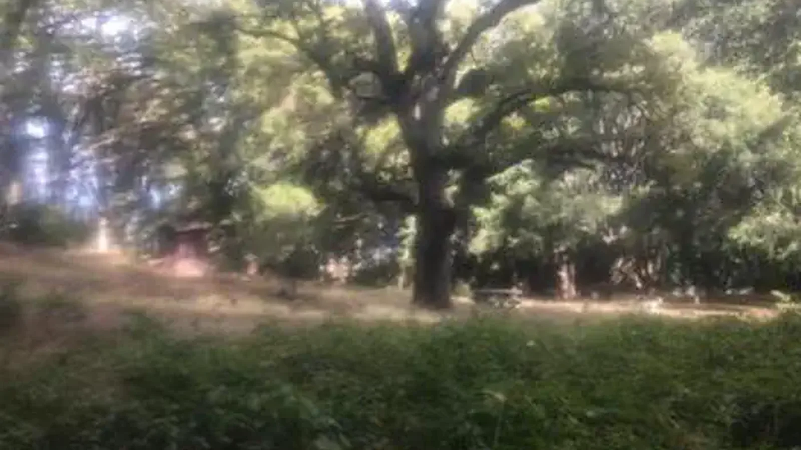 WHITE OAKS CAMPGROUND
