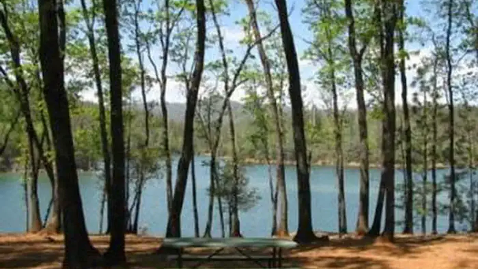 View showing the lake