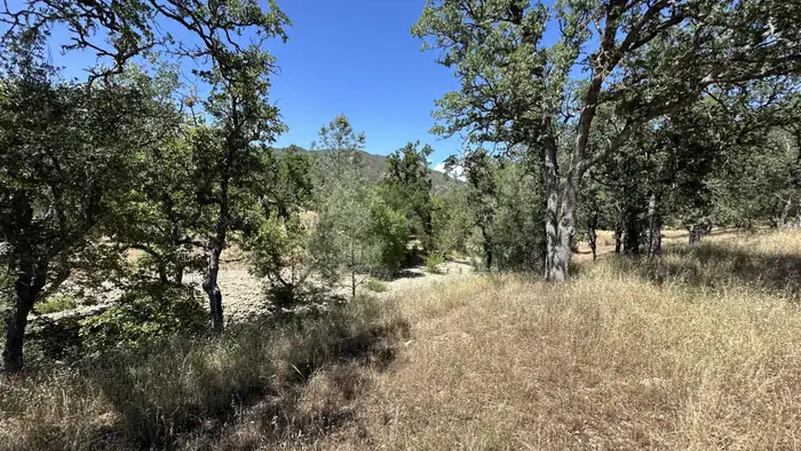 American Canyon Campground_2