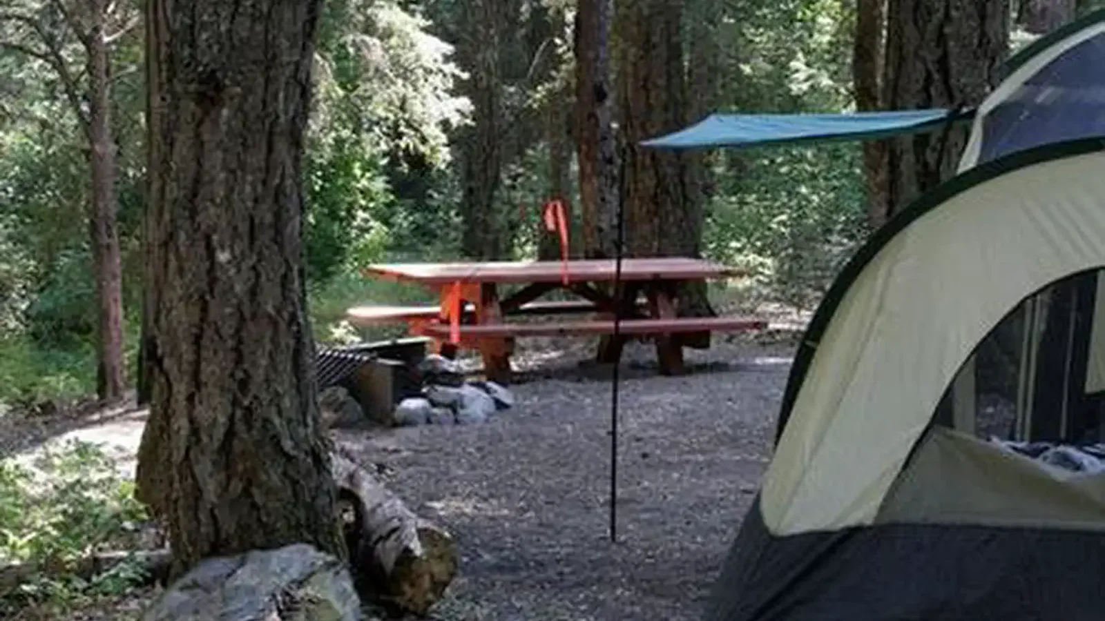 Camp site # 4