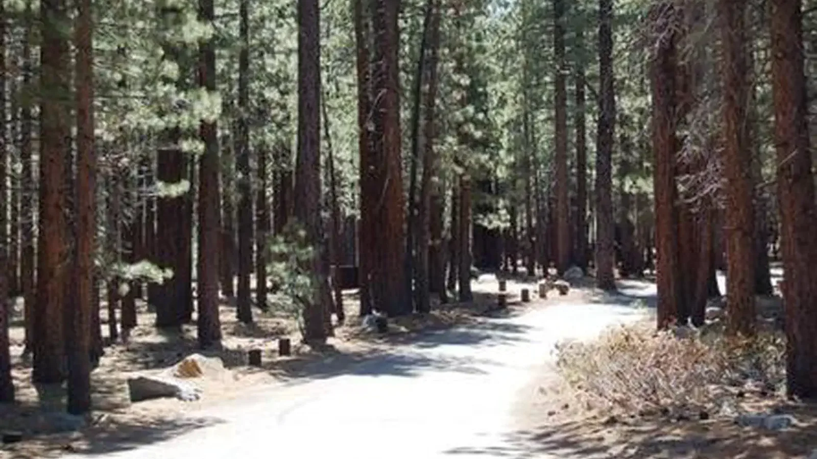 OLD SHADY REST CAMPGROUND