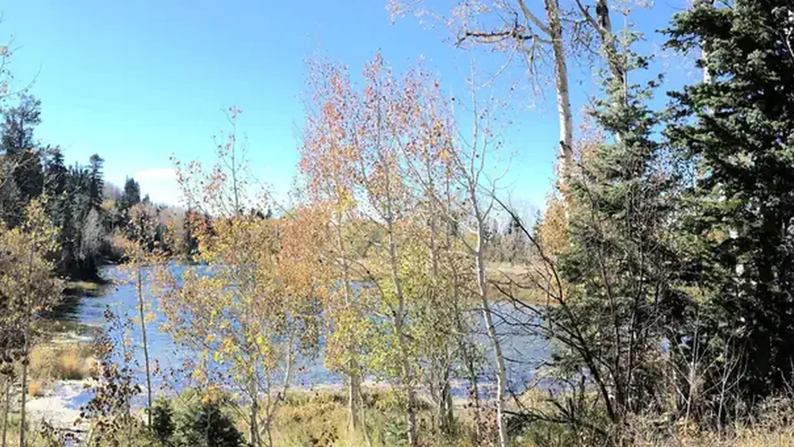Lake Hill Campground