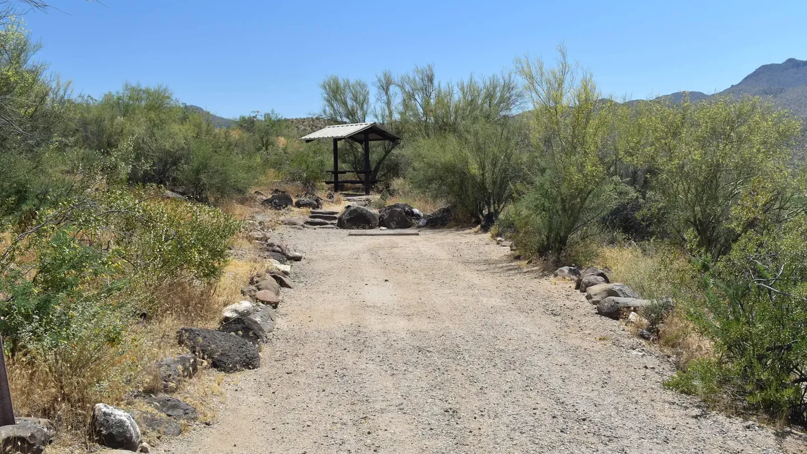 Site Number 4