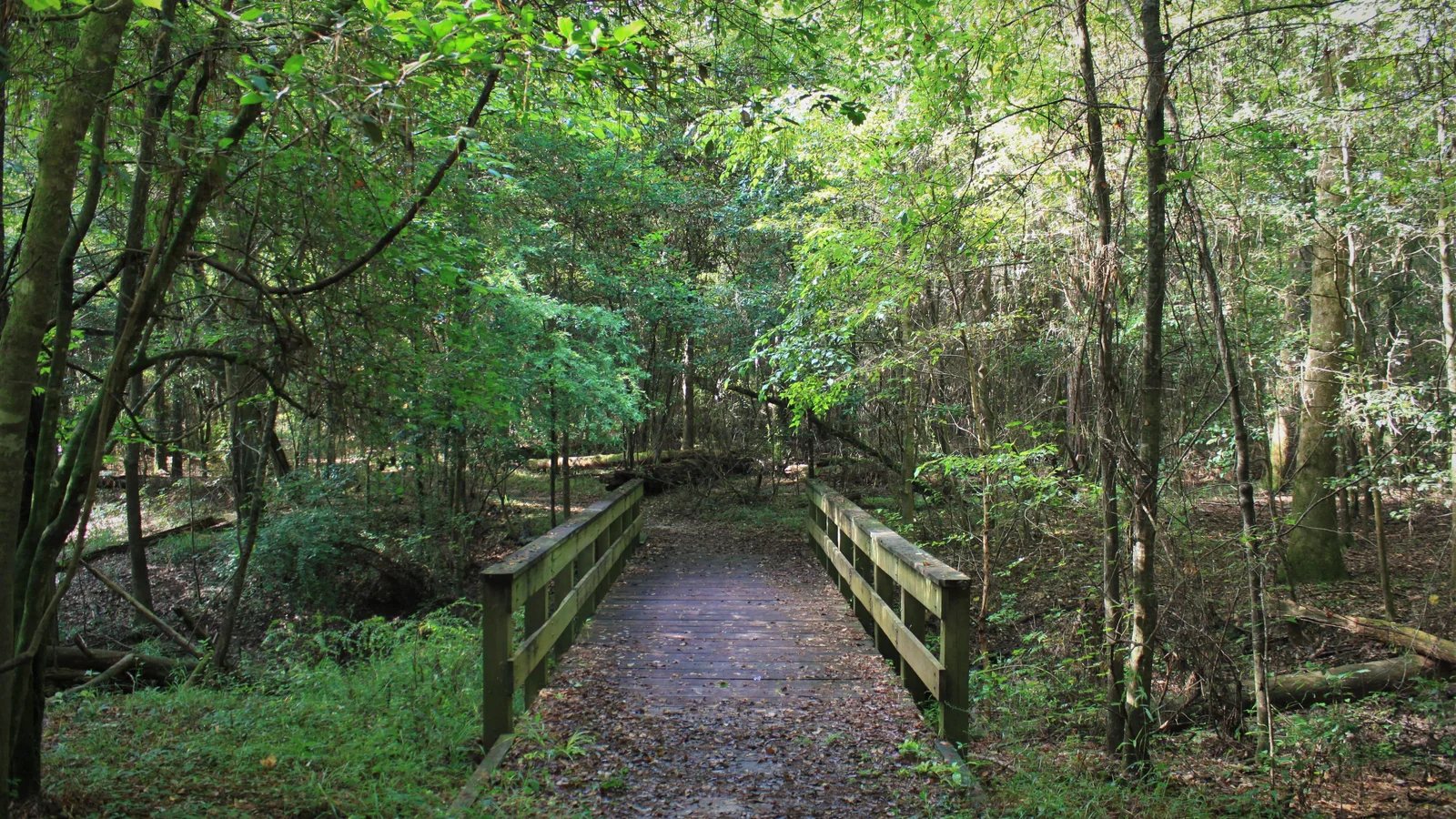 Kirby Nature Trail Bridge