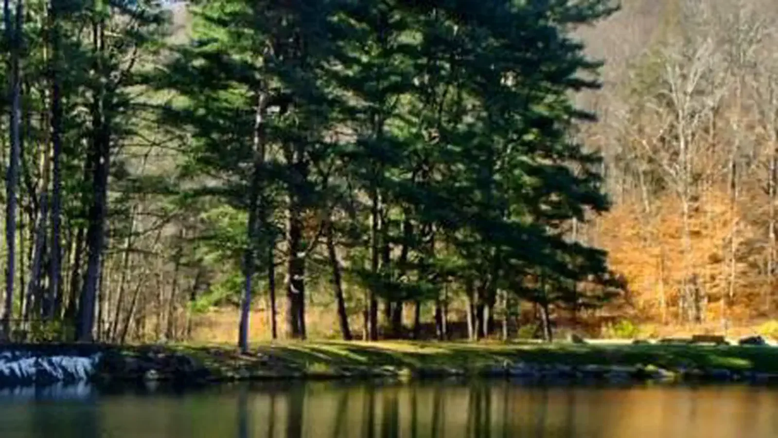 This small rustic campground is located on the east bank of the Allegheny Reservoir just north of Kinzua Wolf Run Marina.