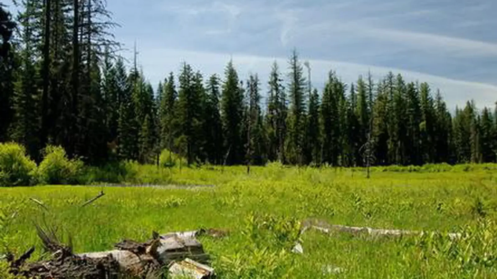WILLOW PRAIRIE CABIN