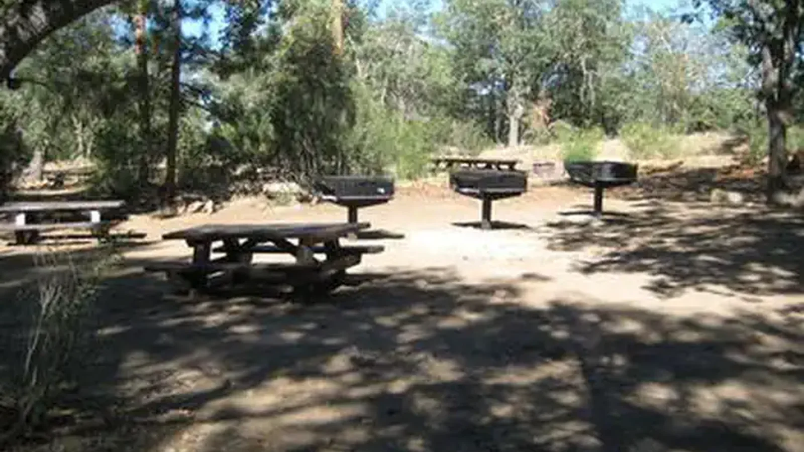 Shade, picnic tables & fire pits of the Oso Group Campground .