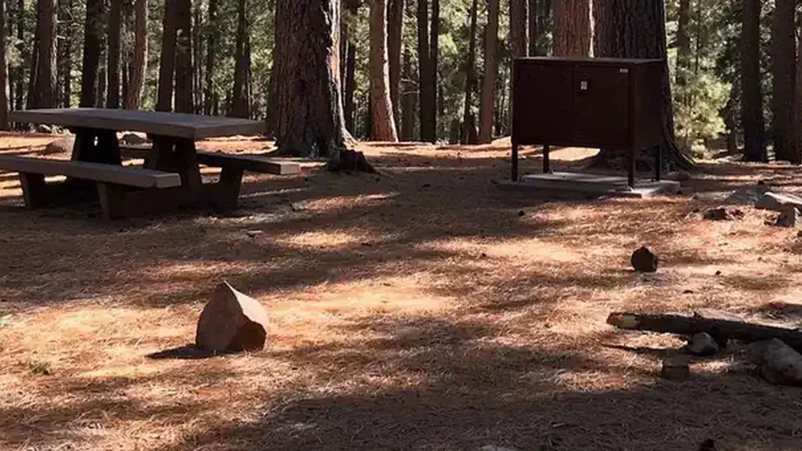 Upper Twilight Group Site