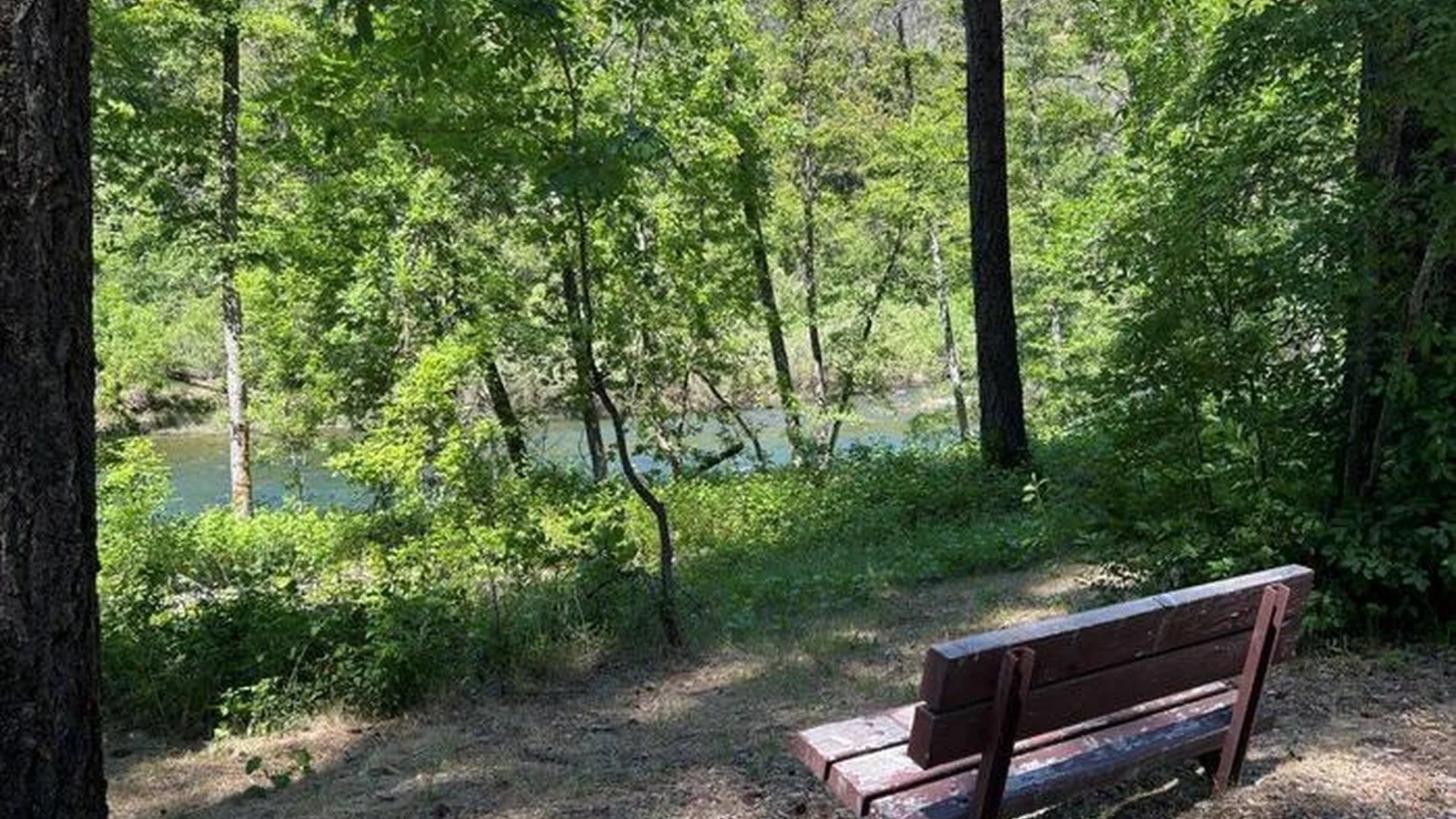 Trinity River View