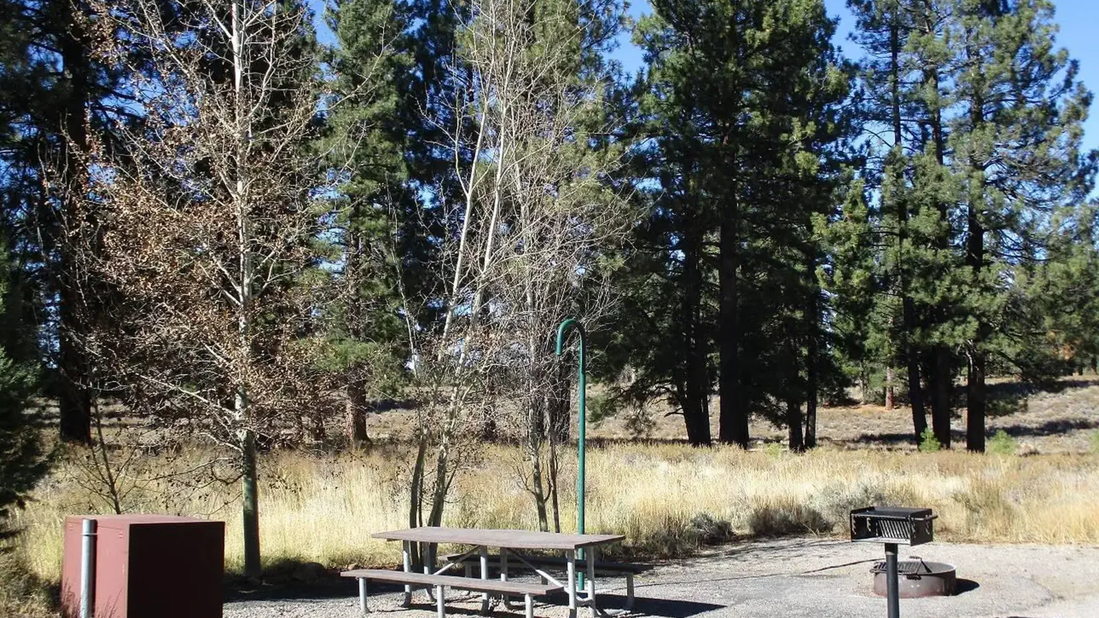 Campsite Features