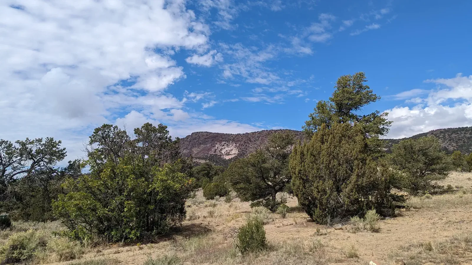 View of the Mesa