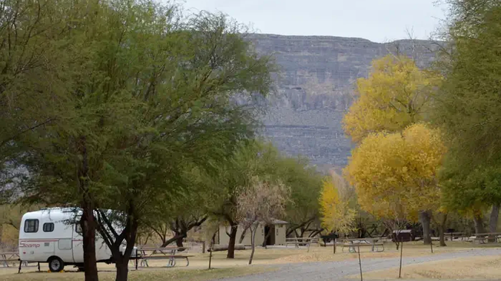 Tree lined campground