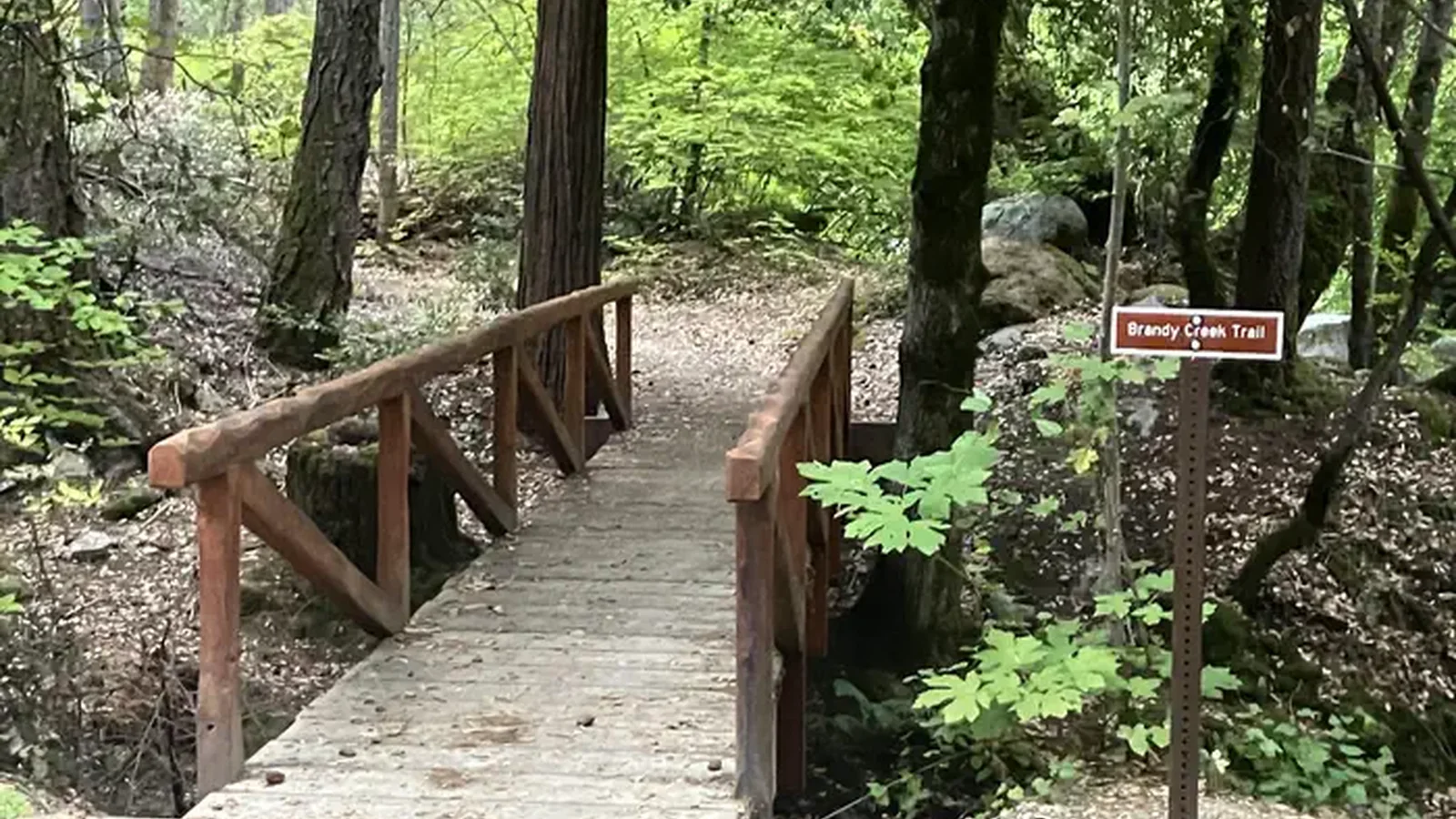 Brandy Creek Trail