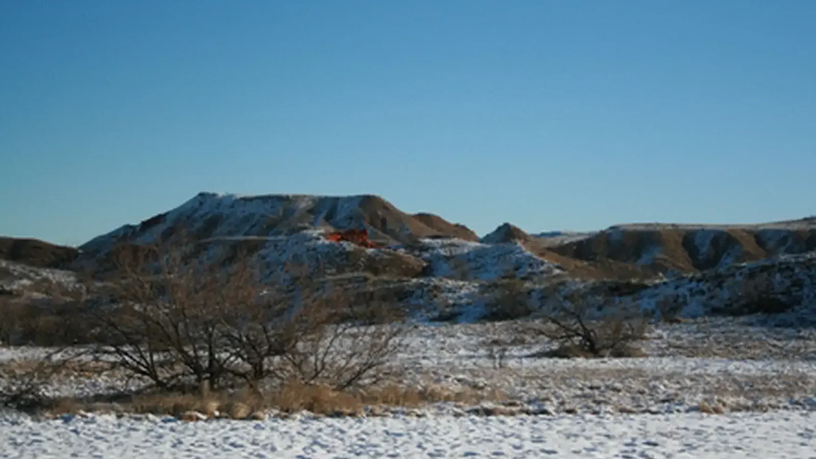 Snowy Alibates