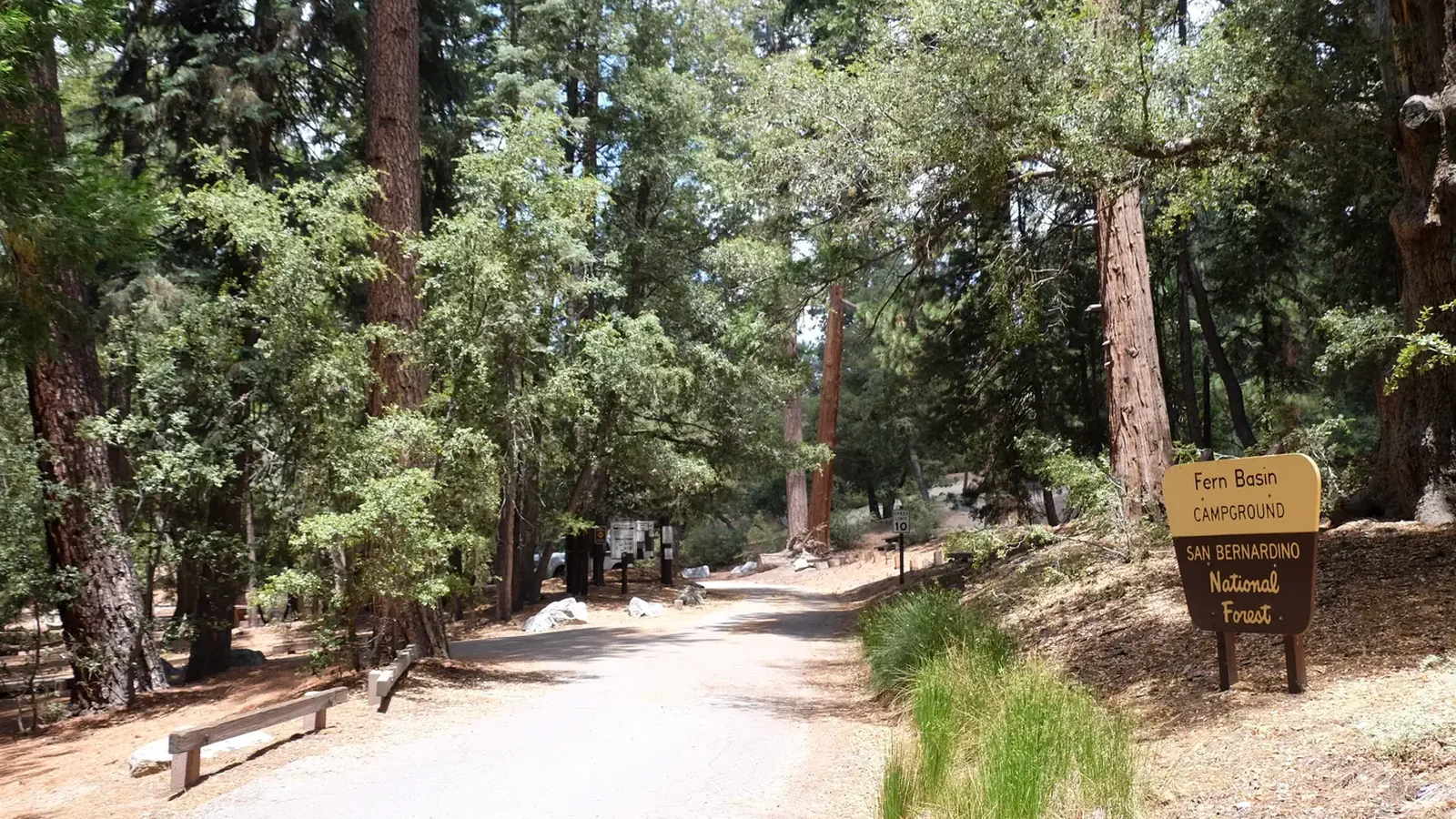 Roadway with Fern Basin Campground sign.