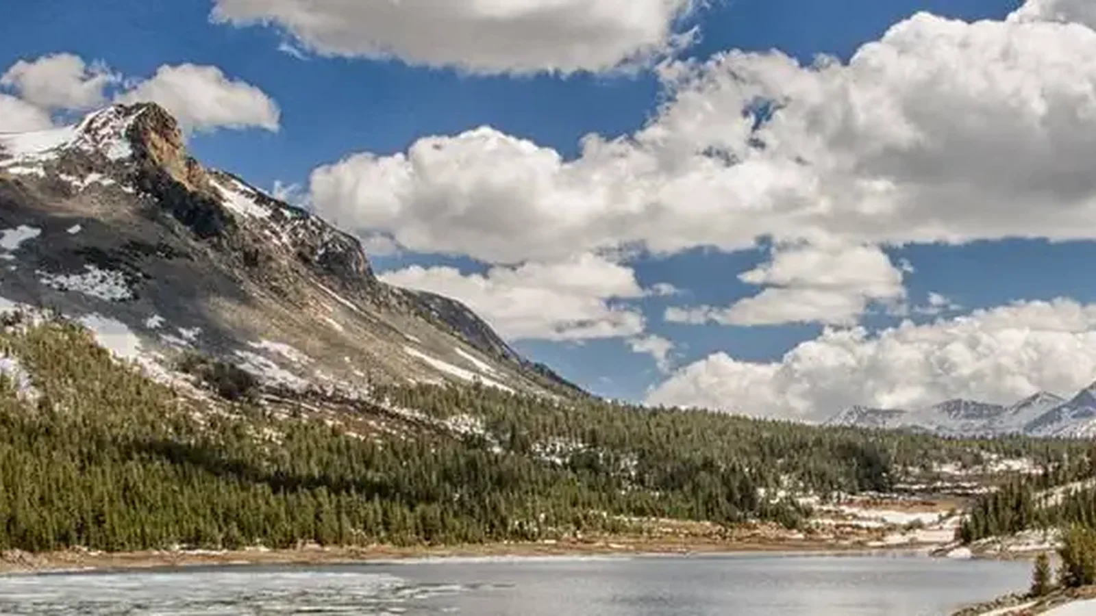 Inyo National Forest