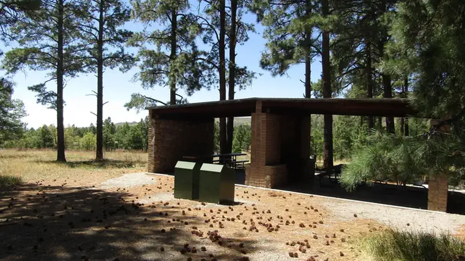 Covered shelters sit surrounded by tall pines