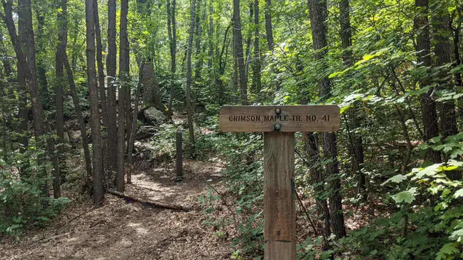 Crimson Maple Trail Sign