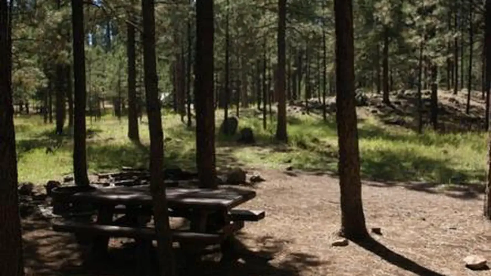 JEMEZ FALLS CAMPGROUND