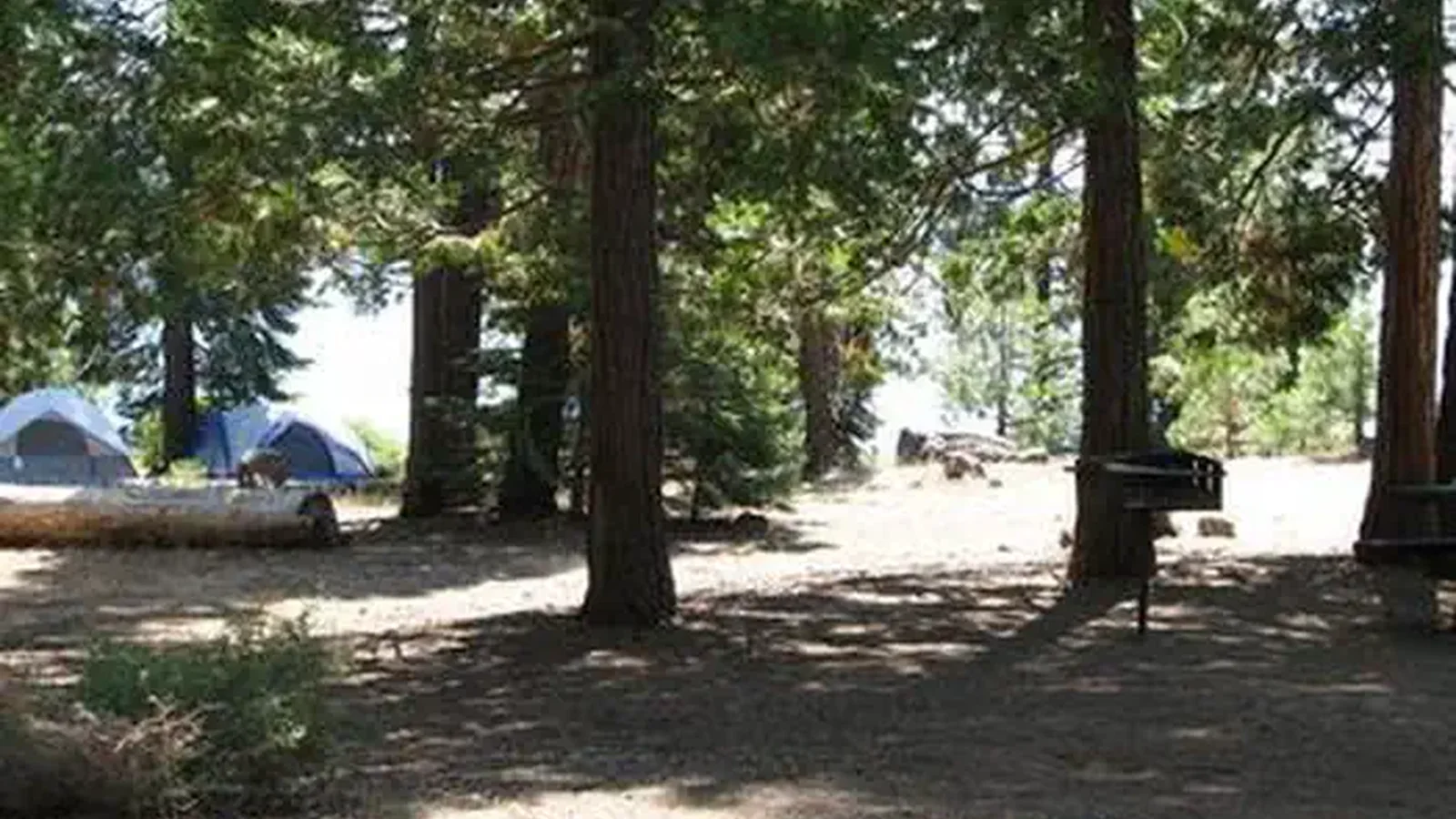 WENCH CREEK