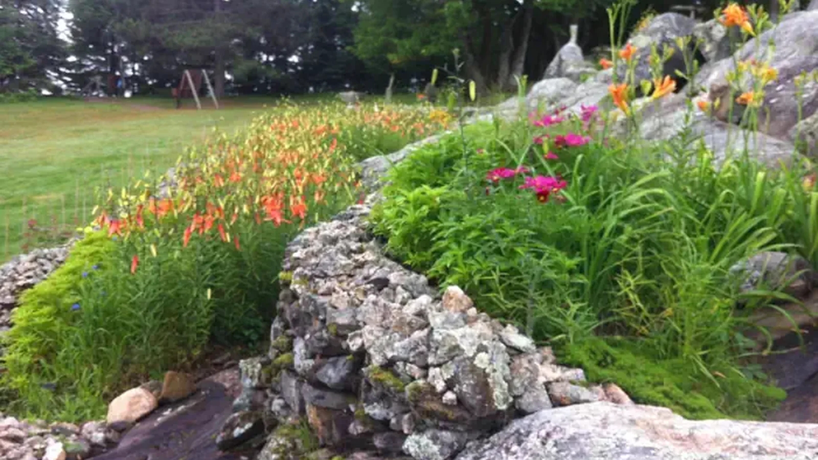 View from the side of blooming lower flower beds
