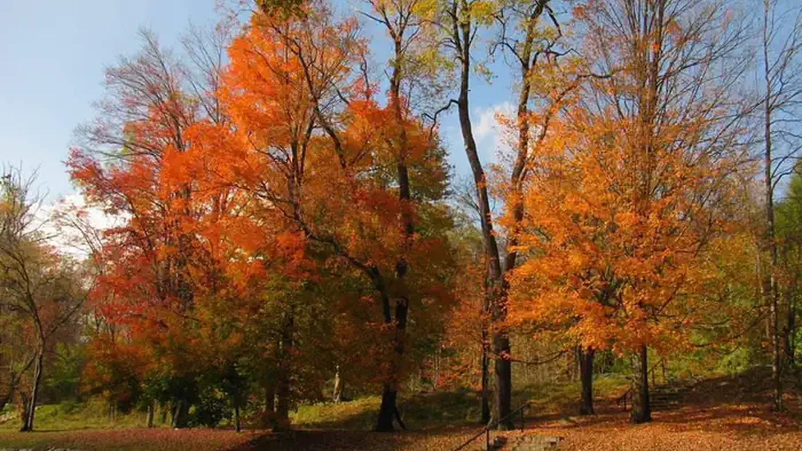Twin Lakes in the fall
