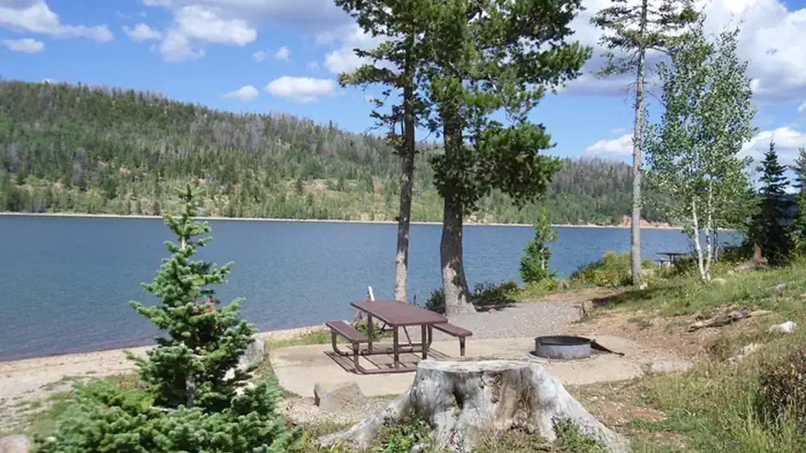 Spruces Campground