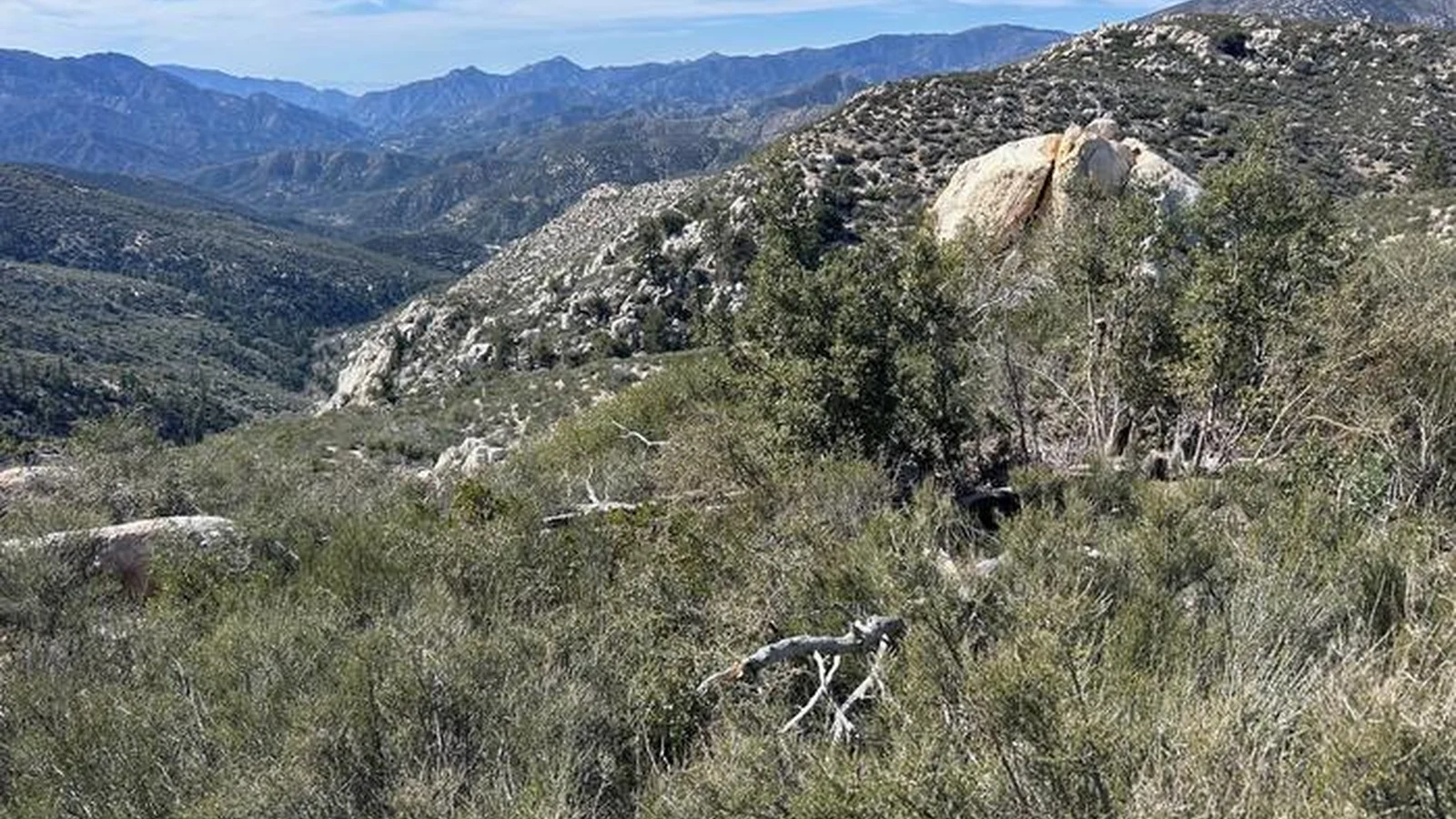 View near site #26